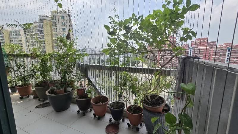 Belysa, 59 Pasir Ris Drive 1, Pasir Ris / Tampines, 3 Bedrooms, 1,033 sqft, Executive Condominium For Sale, by Robin Loh K.B. 罗君彬, 500270141 - PropertyGuru.com.sg