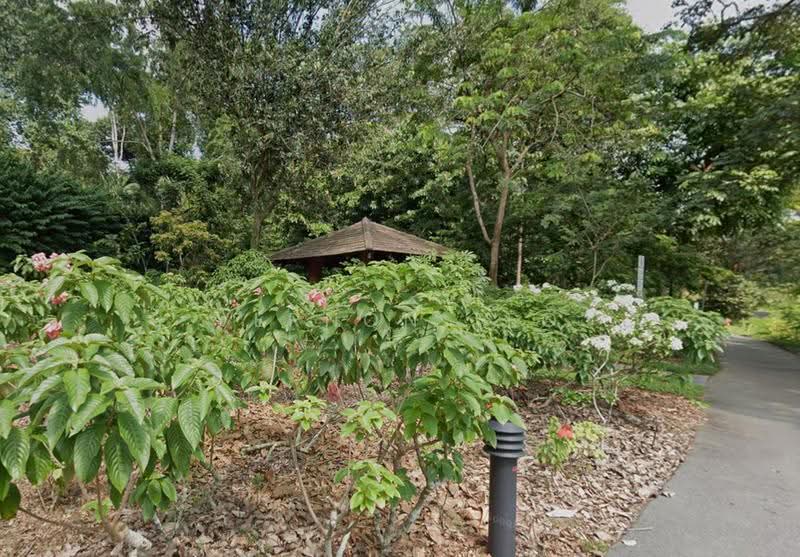 Rare Bukit Timah Rebuild Opportunity | Quiet Cul-de-Sac, Tanglin / Holland / Bukit Timah, , 6,903 sqft, Residential Land For Sale, by Vernon Teo, 500270203 - Garden - PropertyGuru.com.sg