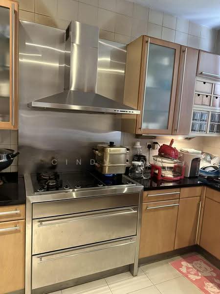 Ardmore Park, 9 Ardmore Park, Tanglin / Holland / Bukit Timah, 4 Bedrooms, 2,885 sqft, Condominium For Rent, by Cindy Low, 500270247 - Kitchen - PropertyGuru.com.sg