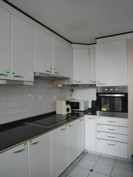 Springdale Condo, 51 Hindhede Walk, Clementi Park / Upper Bukit Timah, Room Rental, 132 sqft, Condominium For Rent, by Erik Wang, 500270342 - Kitchen - PropertyGuru.com.sg