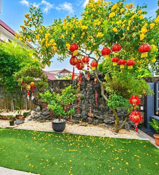 3C Lengkong Satu, Lengkong Satu, Eunos / Geylang / Paya Lebar, 6 Bedrooms, 6,000 sqft, Semi-Detached House For Sale, by Vanessa Ding, 500270697 - Garden - PropertyGuru.com.sg