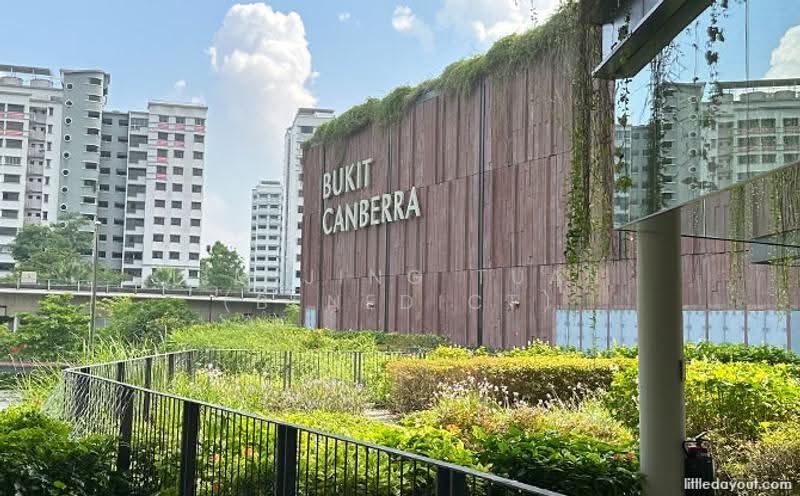 491 Admiralty Link, 491 Admiralty Link, Sembawang / Yishun, Room Rental, 150 sqft, HDB Flat For Rent, by Lim Jing Tuan (Benedict), 500270745 - Exterior - PropertyGuru.com.sg