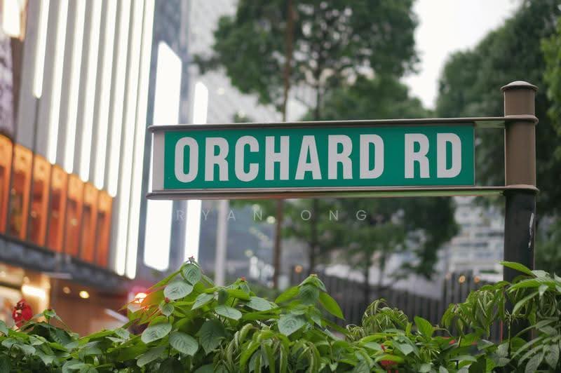Orchard Road Commercial Property, Orchard / River Valley, 8,800 sqft, Food & Beverage For Sale, by Ryan Ong, 500270758 - CommercialGuru.com.sg