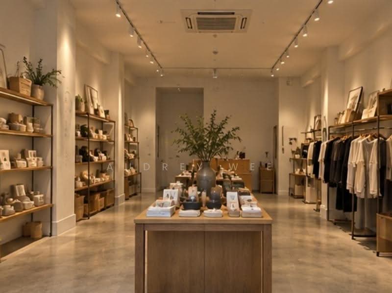 Amoy Street, Amoy Street, Telok Ayer Street, Chinatown / Tanjong Pagar, 1,174 sqft, Shop / Shophouse For Rent, by Audrey Wee, 500270772 - Interior - CommercialGuru.com.sg