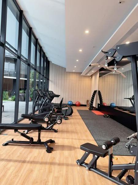 Piccadilly Grand, Northumberland Road, Farrer Park / Serangoon Rd, Room Rental, 120 sqft, Condominium For Rent, by Linda Zhang, 500270860 - Gym - PropertyGuru.com.sg
