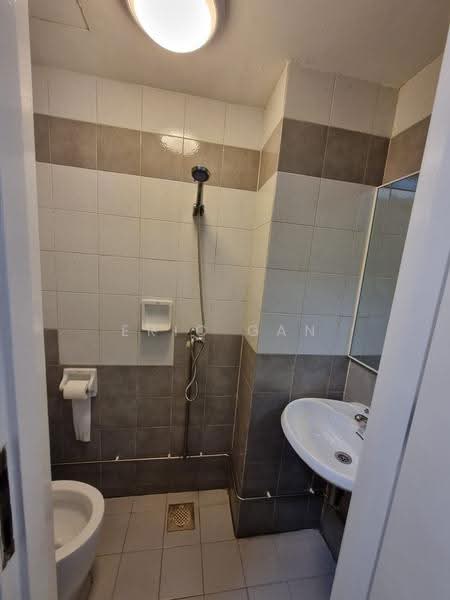 Cavenagh Lodge, 81 Cavenagh Road, Orchard / River Valley, 3 Bedrooms, 1,591 sqft, Apartment For Rent, by Eric Gan, 500270988 - Yard WC - PropertyGuru.com.sg