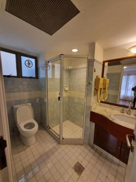 Cavenagh Lodge, 81 Cavenagh Road, Orchard / River Valley, 3 Bedrooms, 1,591 sqft, Apartment For Rent, by Eric Gan, 500270988 - Master Bathroom - PropertyGuru.com.sg