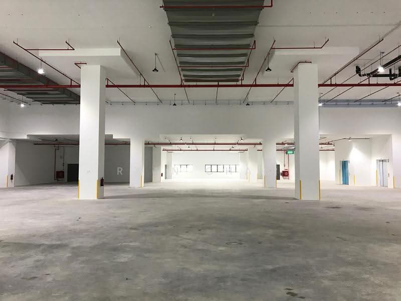 7.4m Clear | Ample Bays | Optional Air Con @ Changi, Changi South, Changi Airport / Changi Village, 21,000 sqft, Warehouse For Rent, by Ryan Chau, 500271109 - Interior - CommercialGuru.com.sg