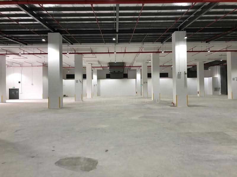 7.4m Clear | Ample Bays @ Changi, Changi South, Changi Airport / Changi Village, 30,000 sqft, Warehouse For Rent, by Ryan Chau, 500271111 - Interior - CommercialGuru.com.sg