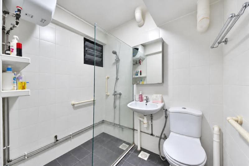 217 Lorong 8 Toa Payoh, 217 Lorong 8 Toa Payoh, Balestier / Toa Payoh, Room Rental, 100 sqft, HDB Flat For Rent, by Sky Chiu, 500271291 - Shared Common Bathroom - PropertyGuru.com.sg