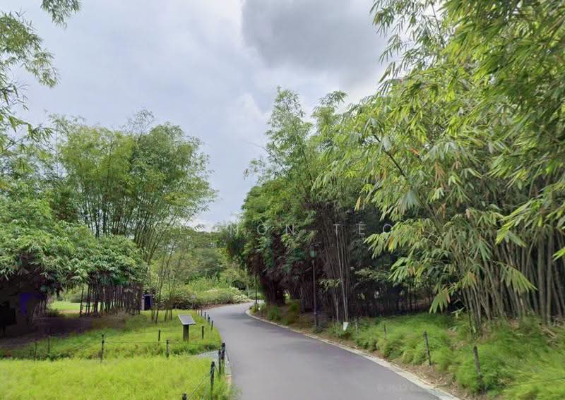 EXCLUSIVE NEW LISTING | D10 BOTANIC GARDENS | 20,000 SQFT LAND, Tanglin / Holland / Bukit Timah, 3 Bedrooms, 3,995 sqft, Good Class Bungalow For Sale, by Vernon Teo, 500271341 - Exterior - PropertyGuru.com.sg