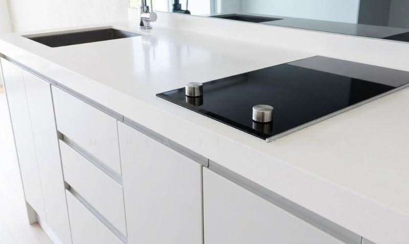 Zedge, 2 Akyab Road, Newton / Novena, 1 Bedroom, 603 sqft, Condominium For Rent, by Anthea Yeo 杨丽娇, 500271460 - Kitchen - PropertyGuru.com.sg