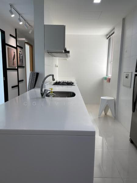 One-North Residences, 7 One-North Gateway, Buona Vista / West Coast / Clementi New Town, Room Rental, 180 sqft, Condominium For Rent, by Liu Siqi, 500271602 - Kitchen - PropertyGuru.com.sg