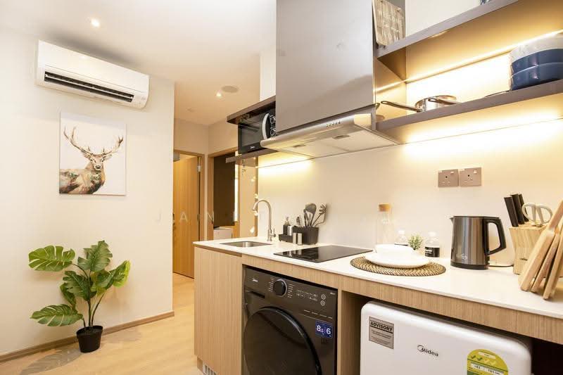 2 mount elizabeth link, 2 mount elizabeth link, Orchard / River Valley, Room Rental, 180 sqft, Condominium For Rent, by Janet Chye, 500271746 - Kitchen - PropertyGuru.com.sg
