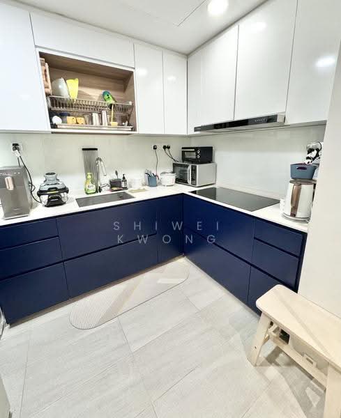 Newton 21 (Former Newton Euro-Asia), 21 Newton Road, Newton / Novena, 3 Bedrooms, 1,184 sqft, Apartment For Sale, by Shiwei Kwong, 500271803 - Kitchen - PropertyGuru.com.sg