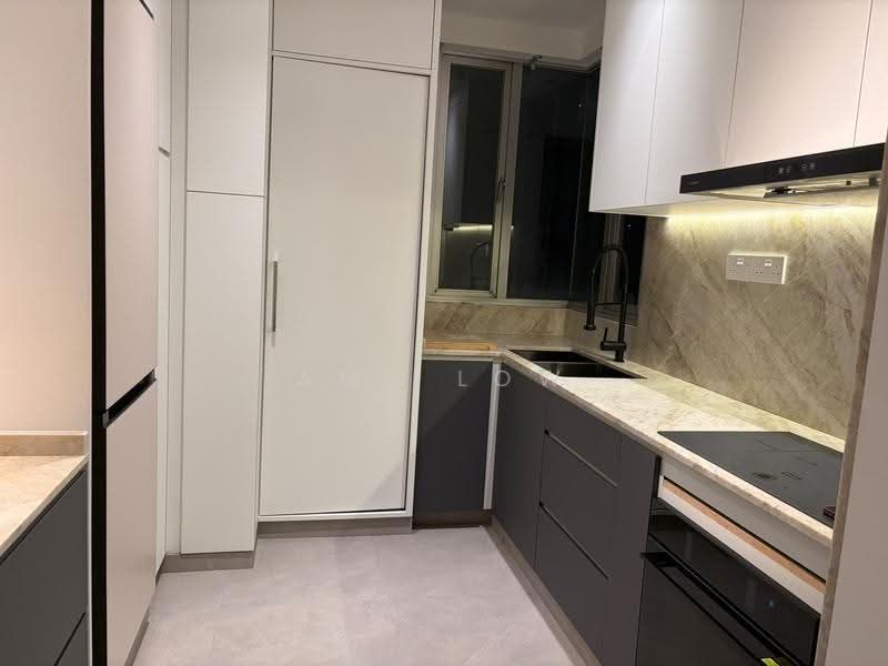 The Levelz, 38 Farrer Road, Tanglin / Holland / Bukit Timah, 2 Bedrooms, 980 sqft, Condominium For Rent, by Amy Low, 500272125 - Kitchen - PropertyGuru.com.sg