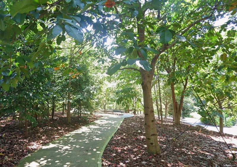 BUKIT TIMAH DETACHED REGULAR PLOT WIDE FRONTAGE, Newton / Novena, 4 Bedrooms, 2,997 sqft, Detached House For Sale, by Vernon Teo, 500272300 - Garden - PropertyGuru.com.sg