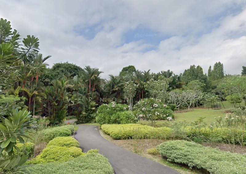 BUKIT TIMAH DETACHED REGULAR PLOT WIDE FRONTAGE, Newton / Novena, 4 Bedrooms, 2,997 sqft, Detached House For Sale, by Vernon Teo, 500272300 - Garden - PropertyGuru.com.sg