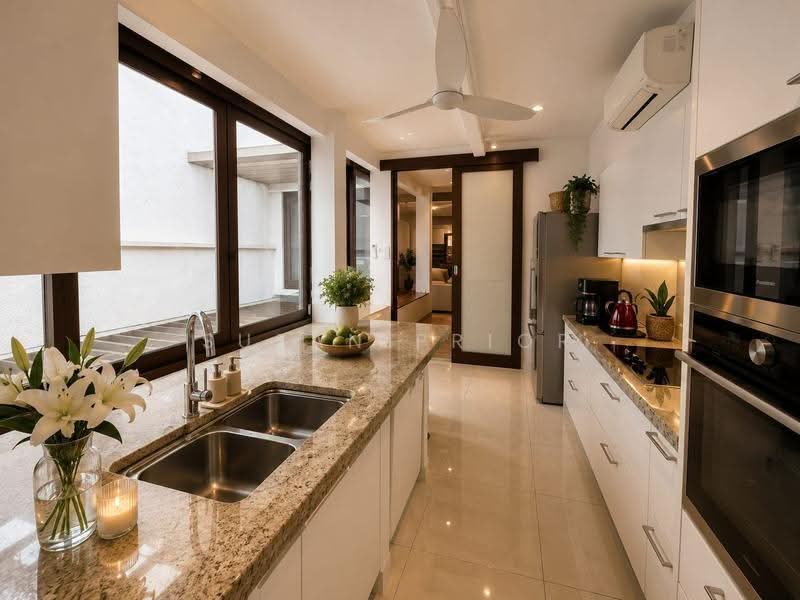 Emerald Hill Trendy 2+ Study+ Roof Terrace, Emerald Hill Road, Orchard / River Valley, 4 Bedrooms, 2,600 sqft, Conservation House For Rent, by Susan Prior, 500272469 - Kitchen - PropertyGuru.com.sg