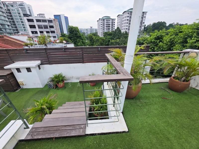 Emerald Hill Trendy 2+ Study+ Roof Terrace, Emerald Hill Road, Orchard / River Valley, 4 Bedrooms, 2,600 sqft, Conservation House For Rent, by Susan Prior, 500272469 - Roof - PropertyGuru.com.sg