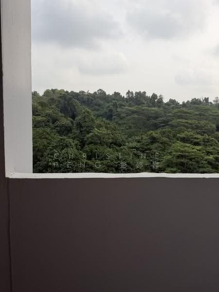127 Bukit Batok West Avenue 6, 127 Bukit Batok West Avenue 6, Dairy Farm / Bukit Panjang / Choa Chu Kang, 3 Bedrooms, 1,109 sqft, HDB Flat For Sale, by Christine Peng 彭婷婷, 500272926 - View - PropertyGuru.com.sg