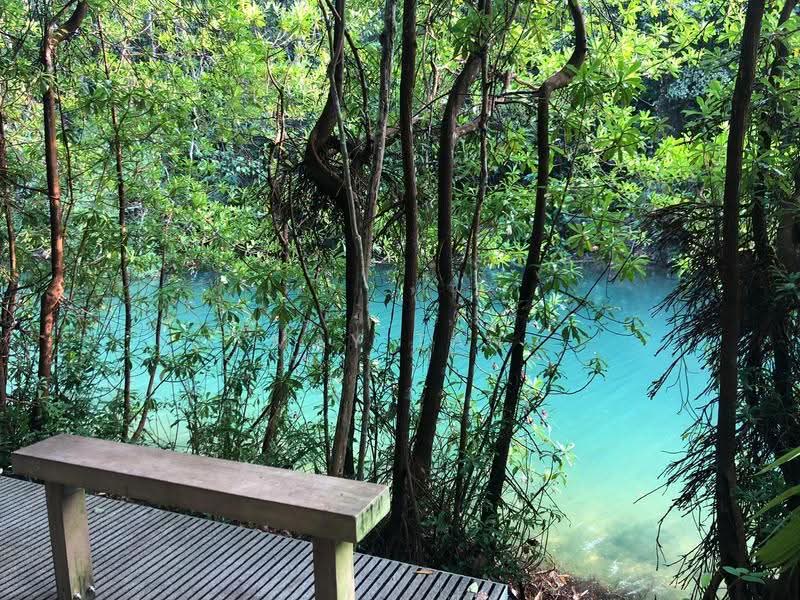 Thomson Reserve, Bright Hill Drive, Ang Mo Kio / Bishan / Thomson, 2 Bedrooms, 732 sqft, Condominium For Sale, by May Tan, 500273139 - Exterior - PropertyGuru.com.sg