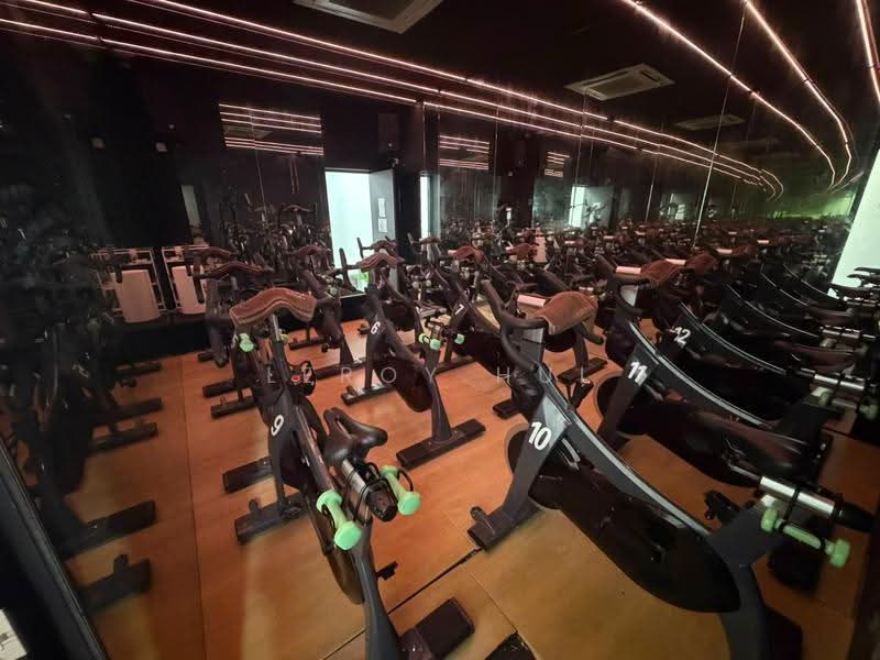 235 lavender street, Farrer Park / Serangoon Rd, 1,302 sqft, Shop / Shophouse For Rent, by Leroy Hui, 500273293 - Gym - CommercialGuru.com.sg