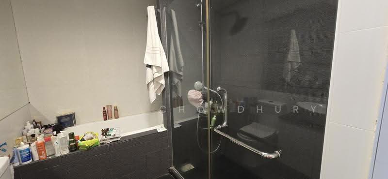 Cairnhill Plaza, 55 Cairnhill Road, Orchard / River Valley, 3 Bedrooms, 2,293 sqft, Apartment For Rent, by Raina Chowdhury, 500273337 - Bathroom - PropertyGuru.com.sg