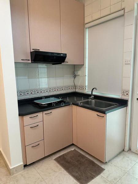 Binchang Rise, Binchang Rise, Ang Mo Kio / Bishan / Thomson, 1 Bedroom, 400 sqft, Apartment For Rent, by Phyllis Ngam, 500273595 - Kitchen - PropertyGuru.com.sg