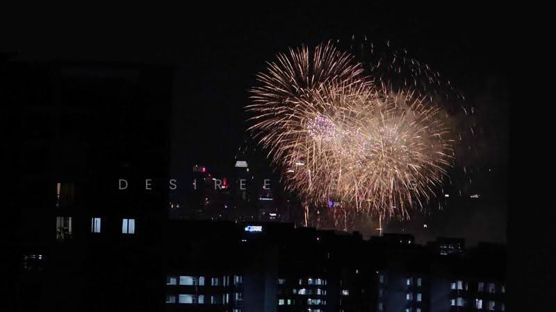 650 Jalan Tenaga, 650 Jalan Tenaga, Eunos / Geylang / Paya Lebar, 3 Bedrooms, 1,163 sqft, HDB Flat For Sale, by Desiree Leung, 500273786 - With Fireworks View - PropertyGuru.com.sg