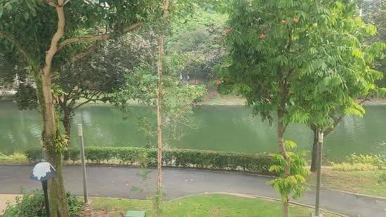 662D Edgedale Plains, 662D Edgedale Plains, Hougang / Punggol / Sengkang, 3 Bedrooms, 990 sqft, HDB Flat For Sale, by Jeannie Anastasia Koe 高晶晶, 500273976 - PropertyGuru.com.sg