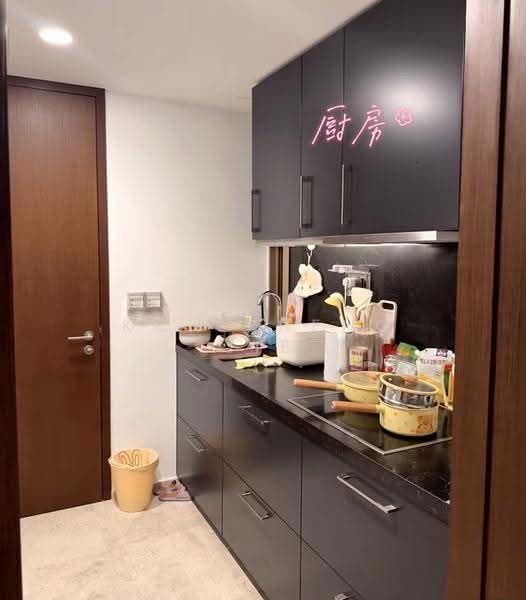 One Draycott, 1 Draycott Park, Tanglin / Holland / Bukit Timah, 2 Bedrooms, 797 sqft, Condominium For Rent, by Koh Zheng Jie, 500274037 - Kitchen 厨房 - PropertyGuru.com.sg