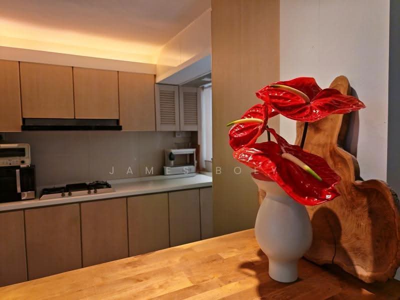 69 Moulmein Road, 69 Moulmein Road, Newton / Novena, 3 Bedrooms, 904 sqft, HDB Flat For Sale, by James Boey, 500274083 - Kitchen - PropertyGuru.com.sg