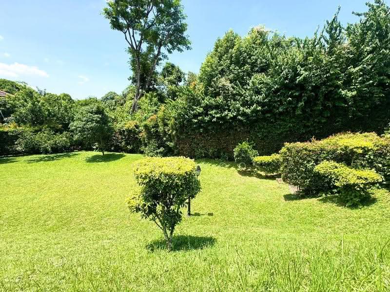Ewart Park, Ewart Park, Tanglin / Holland / Bukit Timah, 3 Bedrooms, 2,200 sqft, Apartment For Rent, by Max Foo, 500274345 - Garden - PropertyGuru.com.sg