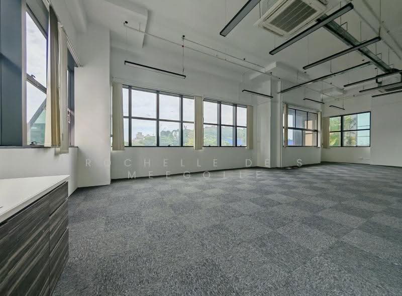 Interlocal Centre, 100G Pasir Panjang Road, Buona Vista / West Coast / Clementi New Town, 1,690 sqft, Light Industrial (B1) For Rent, by Rochelle De S Meegolle, 500274538 - Interior - CommercialGuru.com.sg