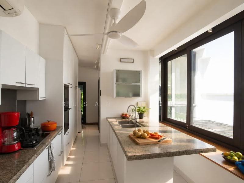 A Couples Retreat at Emerald Hill, Emerald Hill Conservation Area, Orchard / River Valley, 4 Bedrooms, 2,575 sqft, Conservation House For Rent, by Susan Prior, 500275169 - Kitchen - PropertyGuru.com.sg
