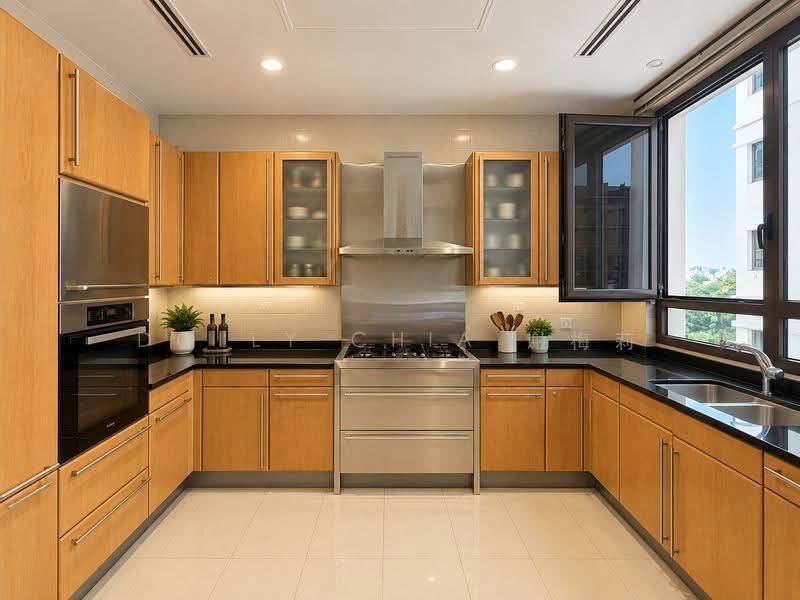 Ardmore Park, 9 Ardmore Park, Tanglin / Holland / Bukit Timah, 4 Bedrooms, 2,885 sqft, Condominium For Rent, by Dolly Chia 谢梅莉, 500275197 - Kitchen - PropertyGuru.com.sg