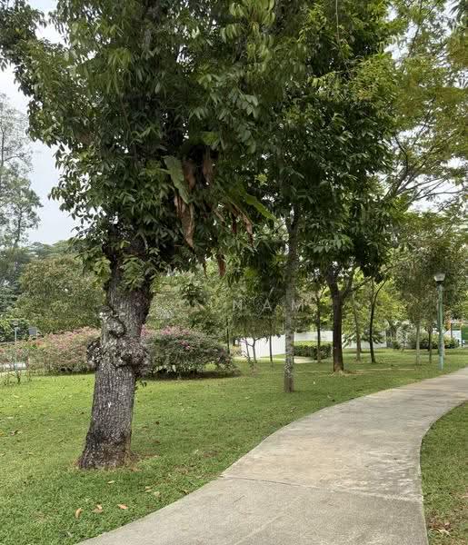 Watten Terr / Watten Park / Watten Estate, Watten Terrace, Newton / Novena, 4 Bedrooms, 2,700 sqft, Semi-Detached House For Sale, by Jo Nam, 500275669 - Exterior - PropertyGuru.com.sg