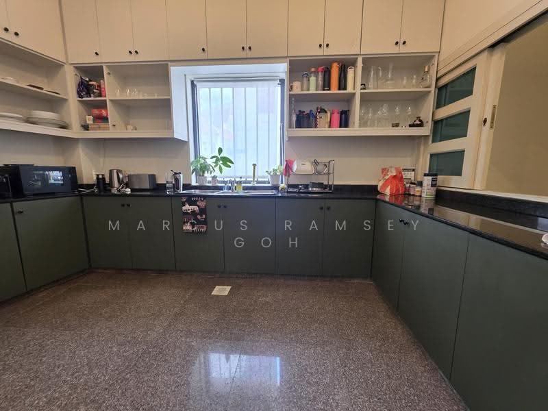Conservation Landed, Spottiswoode road, Chinatown / Tanjong Pagar, 9 Bedrooms, 5,197 sqft, Corner Terrace For Sale, by Marcus Ramsey Goh, 500275771 - Kitchen - PropertyGuru.com.sg