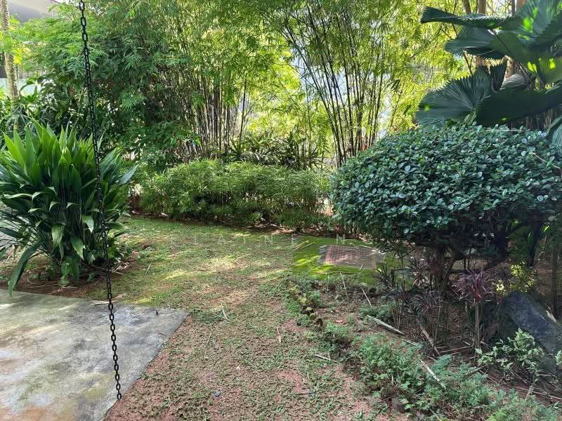 Rare Detached Plot near Trevose - 1km SCGPS, walk to Botanic Gardens MRT, Merryn Trevose Camborne Kheam Hock Berrima Dalkeith Narooma Harlyn, Newton / Novena, 5 Bedrooms, 20 sqft, Detached House For Sale, by ELAINE NG, 500275831 - PropertyGuru.com.sg