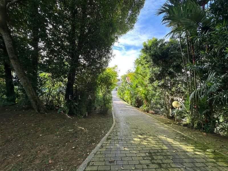 Rare Detached Plot near Trevose - 1km SCGPS, walk to Botanic Gardens MRT, Merryn Trevose Camborne Kheam Hock Berrima Dalkeith Narooma Harlyn, Newton / Novena, 5 Bedrooms, 20 sqft, Detached House For Sale, by ELAINE NG, 500275831 - PropertyGuru.com.sg