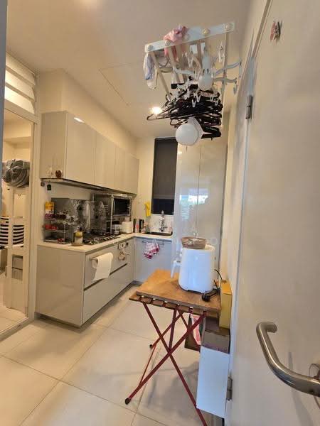 Hilltops, 99 Cairnhill Circle, Orchard / River Valley, 3 Bedrooms, 1,593 sqft, Condominium For Sale, by Diana Sutanto, 500276053 - Kitchen - PropertyGuru.com.sg