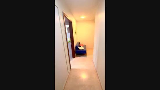Pristine Heights, 77 Mergui Road, Farrer Park / Serangoon Rd, Room Rental, 200 sqft, Apartment For Rent, by Liow Hai Ting, 500276206 - PropertyGuru.com.sg