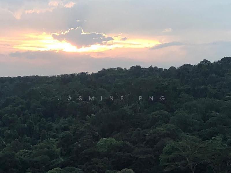 Kingsford Hillview Peak, 101 Hillview Rise, Dairy Farm / Bukit Panjang / Choa Chu Kang, 3 Bedrooms, 2,099 sqft, Condominium For Sale, by Jasmine Png, 500276462 - Exterior - PropertyGuru.com.sg