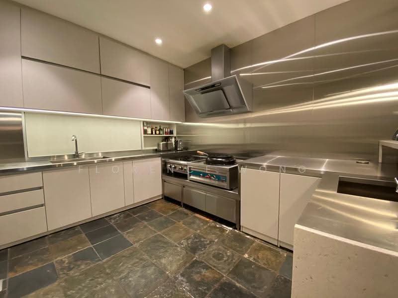 Jalan Lada Puteh, Jalan Lada Puteh 228928, Orchard / River Valley, 4 Bedrooms, 4,000 sqft, Corner Terrace For Sale, by Florence Wong, 500276544 - Kitchen - PropertyGuru.com.sg
