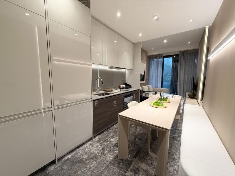 19 Nassim, 19 Nassim Hill, Tanglin / Holland / Bukit Timah, 1 Bedroom, 538 sqft, Condominium For Rent, by Zhen Zhen (Doris)卓嫃臻, 500276600 - Kitchen - PropertyGuru.com.sg