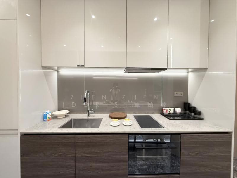 19 Nassim, 19 Nassim Hill, Tanglin / Holland / Bukit Timah, 1 Bedroom, 538 sqft, Condominium For Rent, by Zhen Zhen (Doris)卓嫃臻, 500276600 - Kitchen - PropertyGuru.com.sg