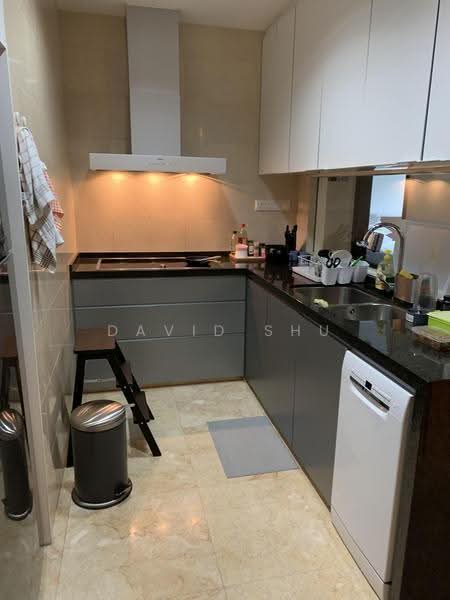 Orchard Scotts, 3 Anthony Road, Orchard / River Valley, 3 Bedrooms, 1,625 sqft, Condominium For Sale, by David Shu, 500276874 - Kitchen - PropertyGuru.com.sg