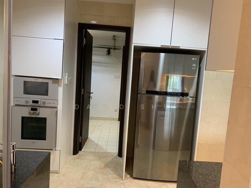 Orchard Scotts, 3 Anthony Road, Orchard / River Valley, 3 Bedrooms, 1,625 sqft, Condominium For Sale, by David Shu, 500276874 - Kitchen - PropertyGuru.com.sg
