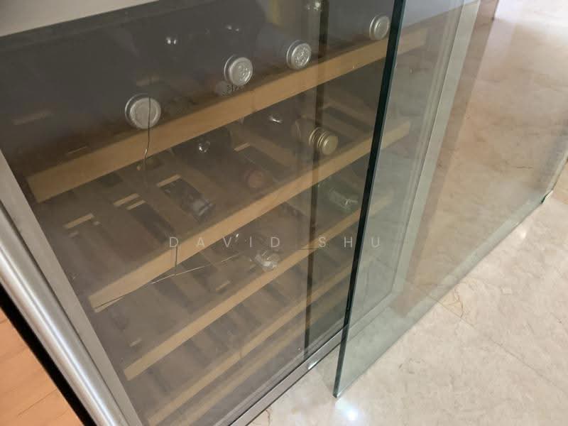Orchard Scotts, 3 Anthony Road, Orchard / River Valley, 3 Bedrooms, 1,625 sqft, Condominium For Sale, by David Shu, 500276874 - Wine Celler and Reading Room - PropertyGuru.com.sg